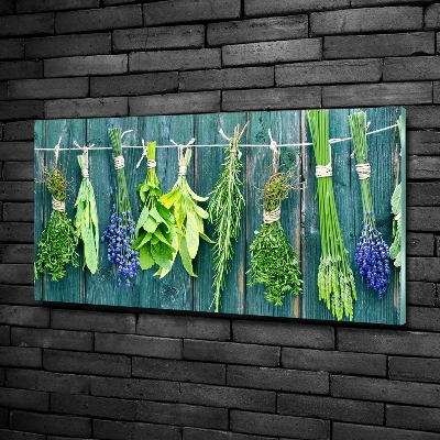 Glass wall art large Herbs on a string