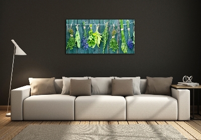 Glass wall art large Herbs on a string