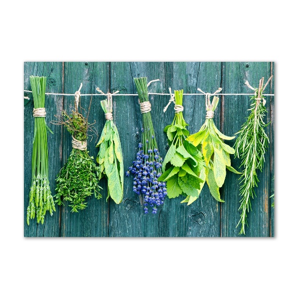 Glass wall art large Herbs on a string