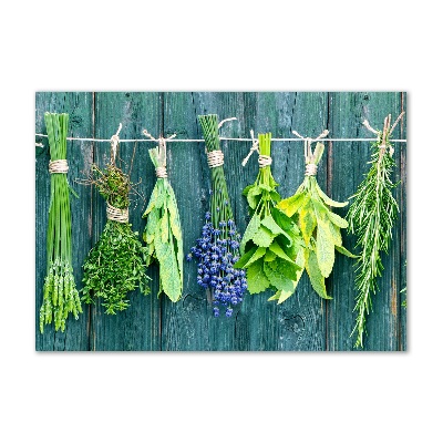 Glass wall art large Herbs on a string