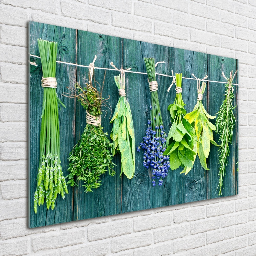 Glass wall art large Herbs on a string