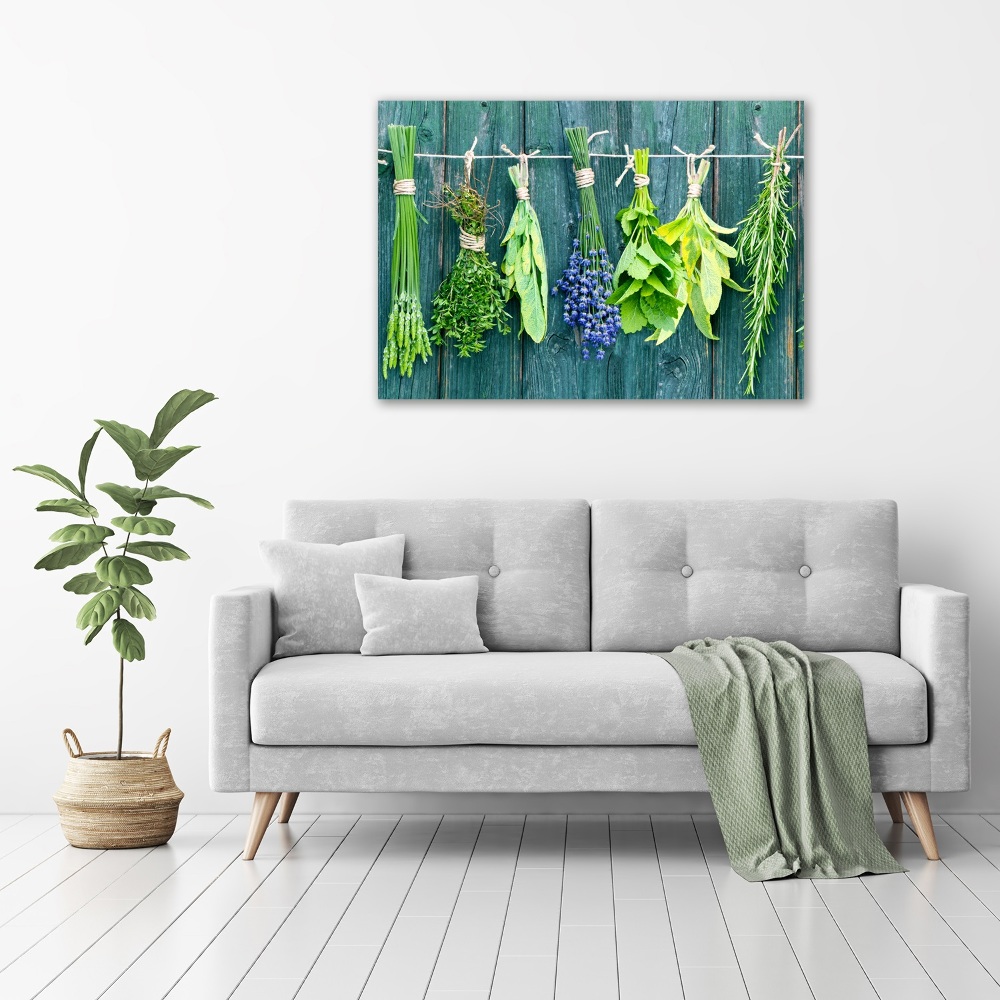 Glass wall art large Herbs on a string