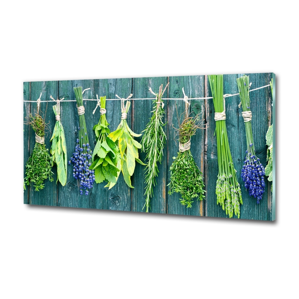 Glass wall art large Herbs on a string