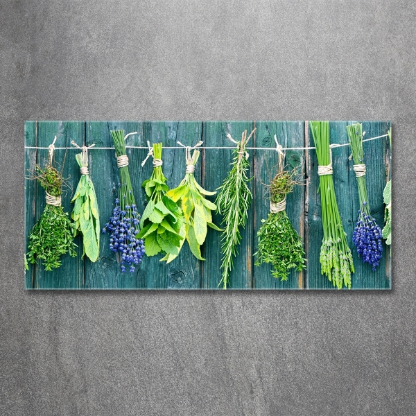 Glass wall art large Herbs on a string