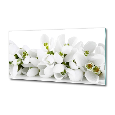 Glass wall art Snowdrops