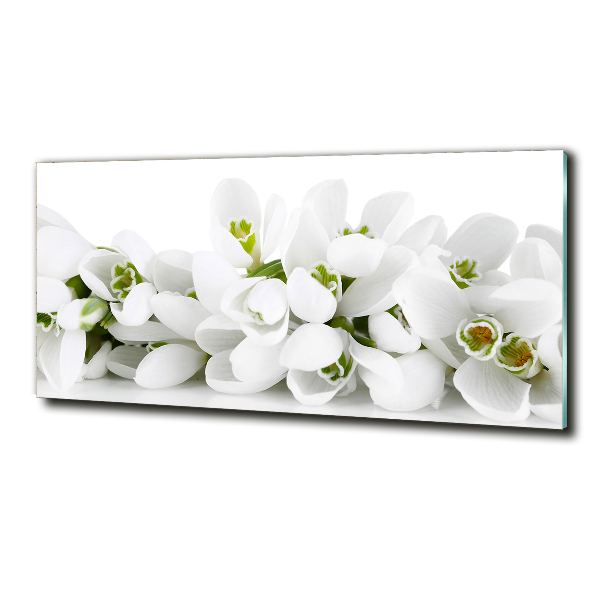 Glass wall art Snowdrops