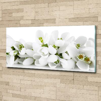 Glass wall art Snowdrops