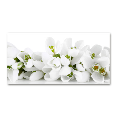 Glass wall art Snowdrops