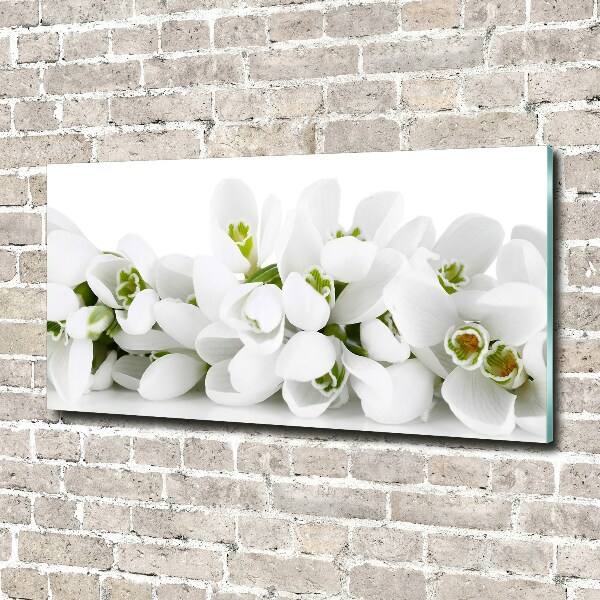 Glass wall art Snowdrops