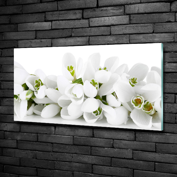 Glass wall art Snowdrops