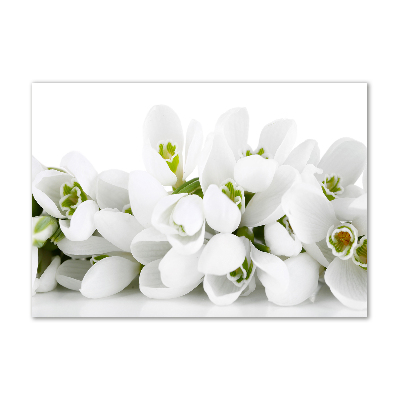 Glass wall art Snowdrops