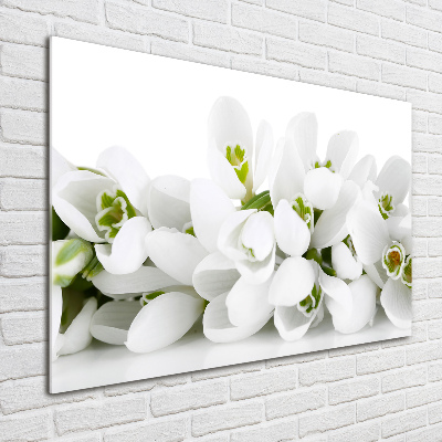 Glass wall art Snowdrops