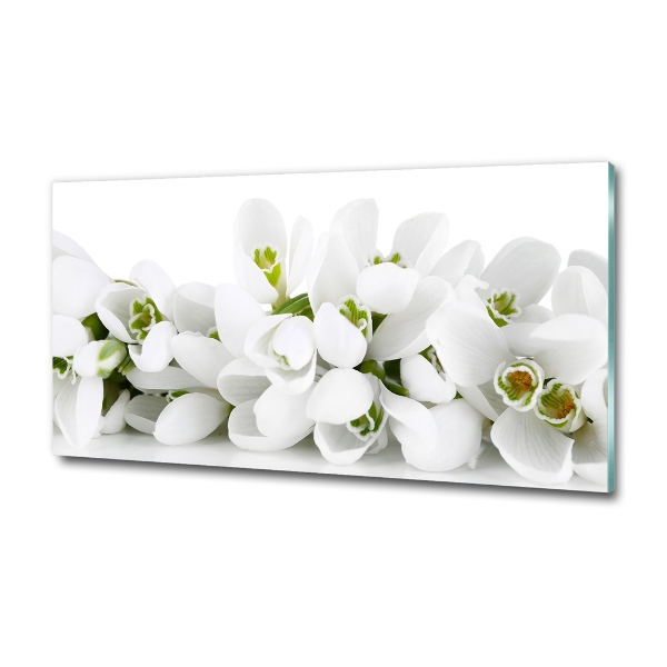 Glass wall art Snowdrops