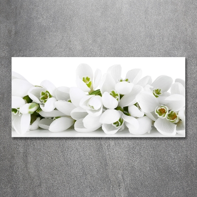 Glass wall art Snowdrops