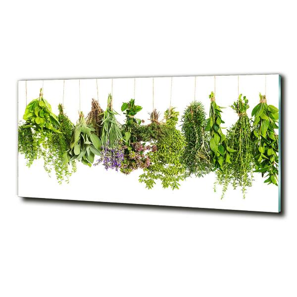 Glass wall art large Herbs on a string