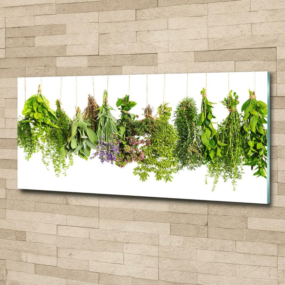 Glass wall art large Herbs on a string