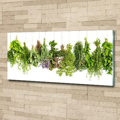 Glass wall art large Herbs on a string