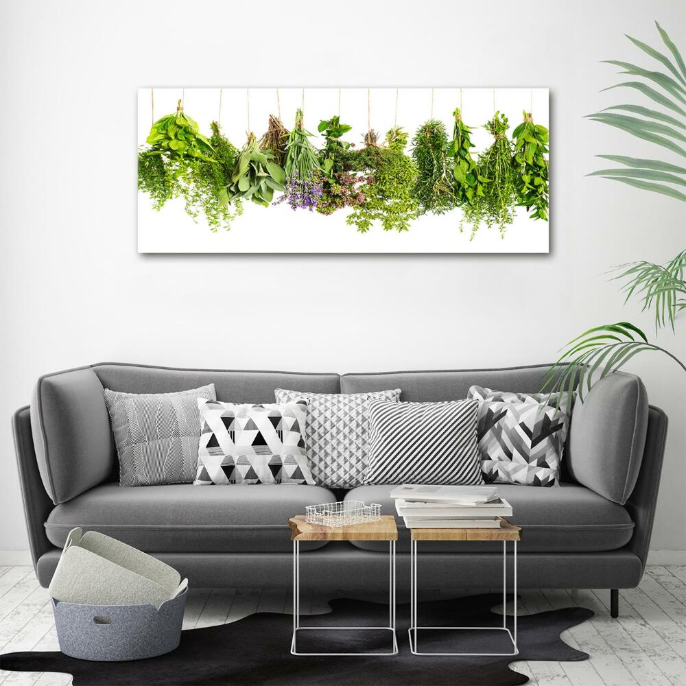 Glass wall art large Herbs on a string