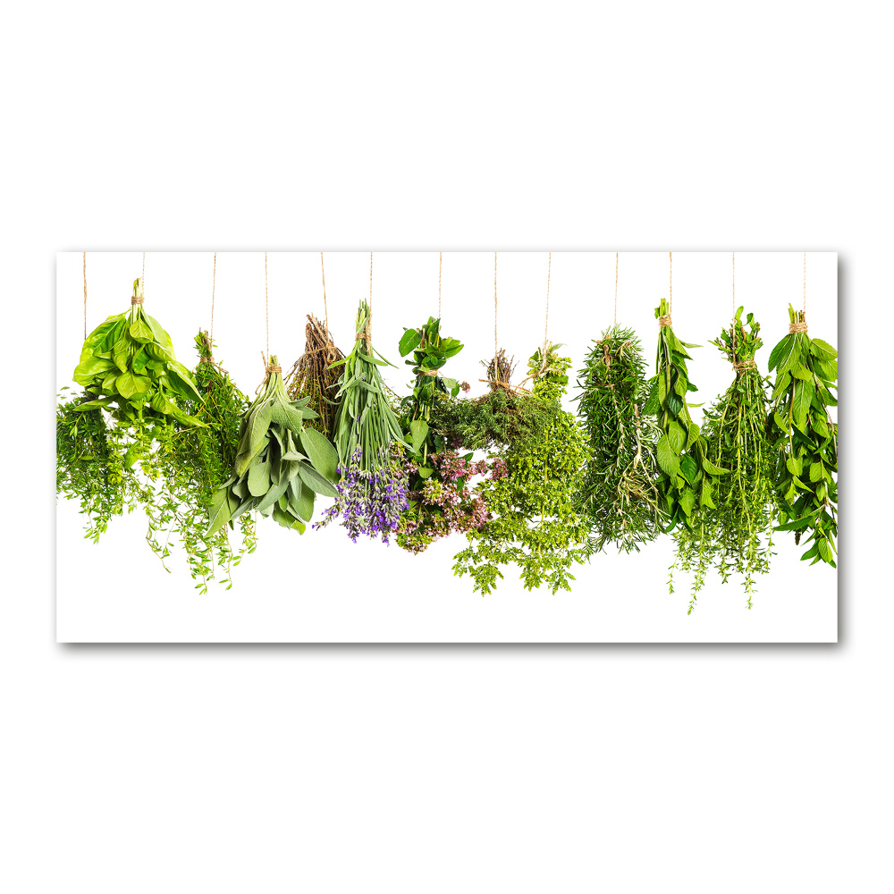 Glass wall art large Herbs on a string