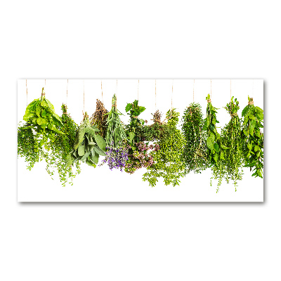 Glass wall art large Herbs on a string