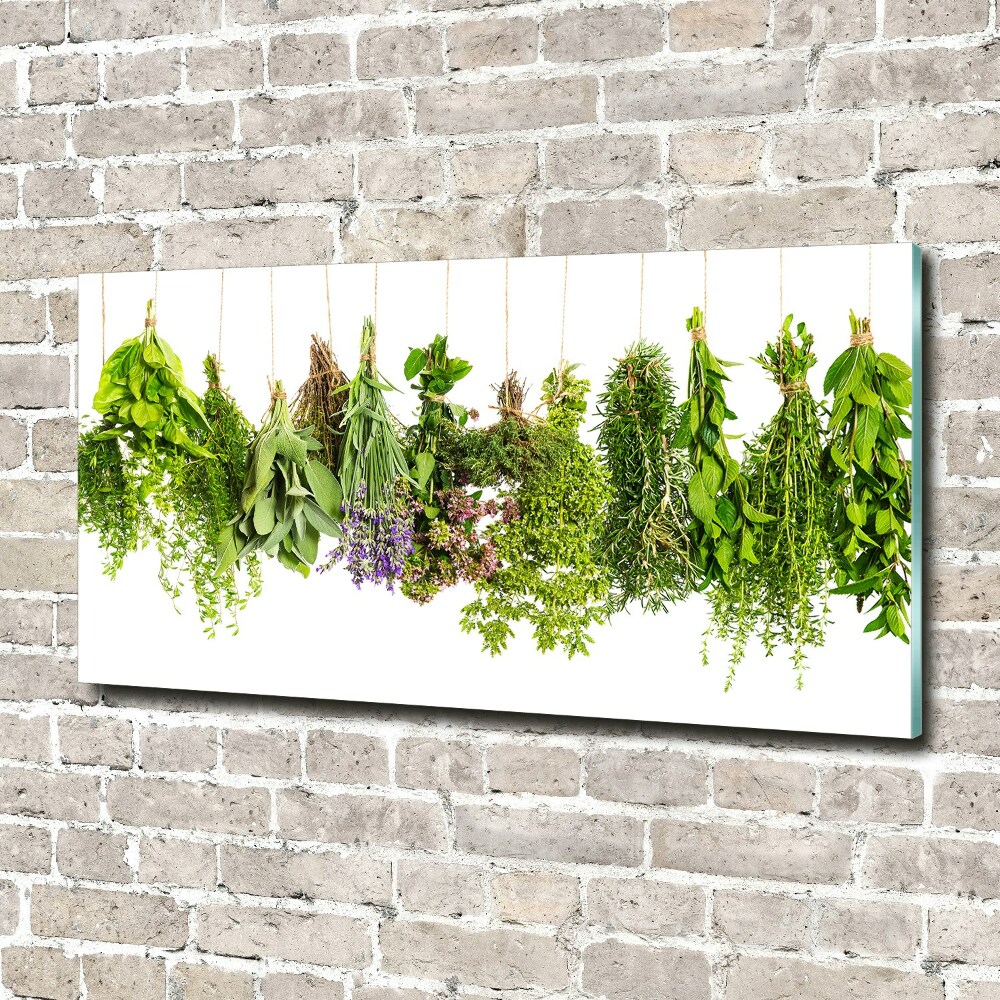 Glass wall art large Herbs on a string