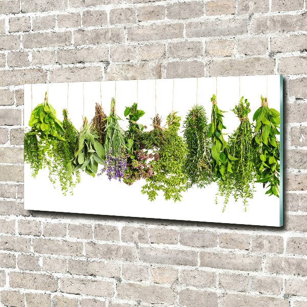 Glass wall art large Herbs on a string