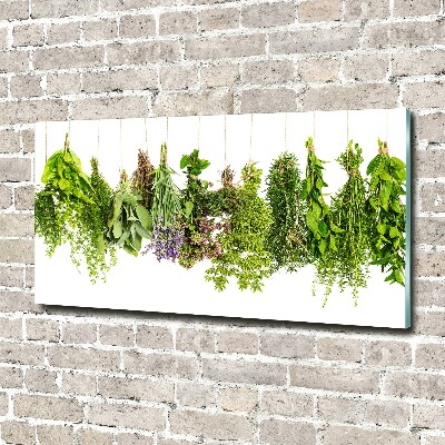 Glass wall art large Herbs on a string