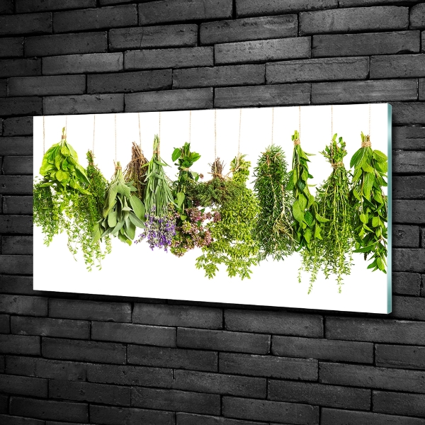 Glass wall art large Herbs on a string