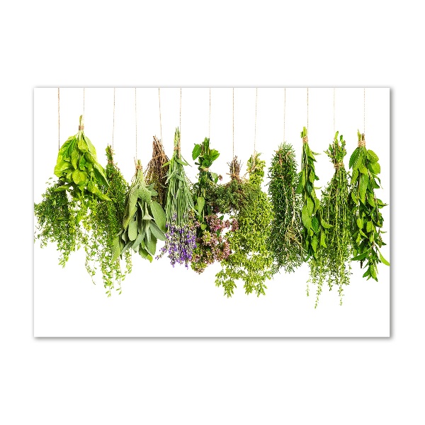 Glass wall art large Herbs on a string