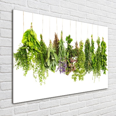 Glass wall art large Herbs on a string