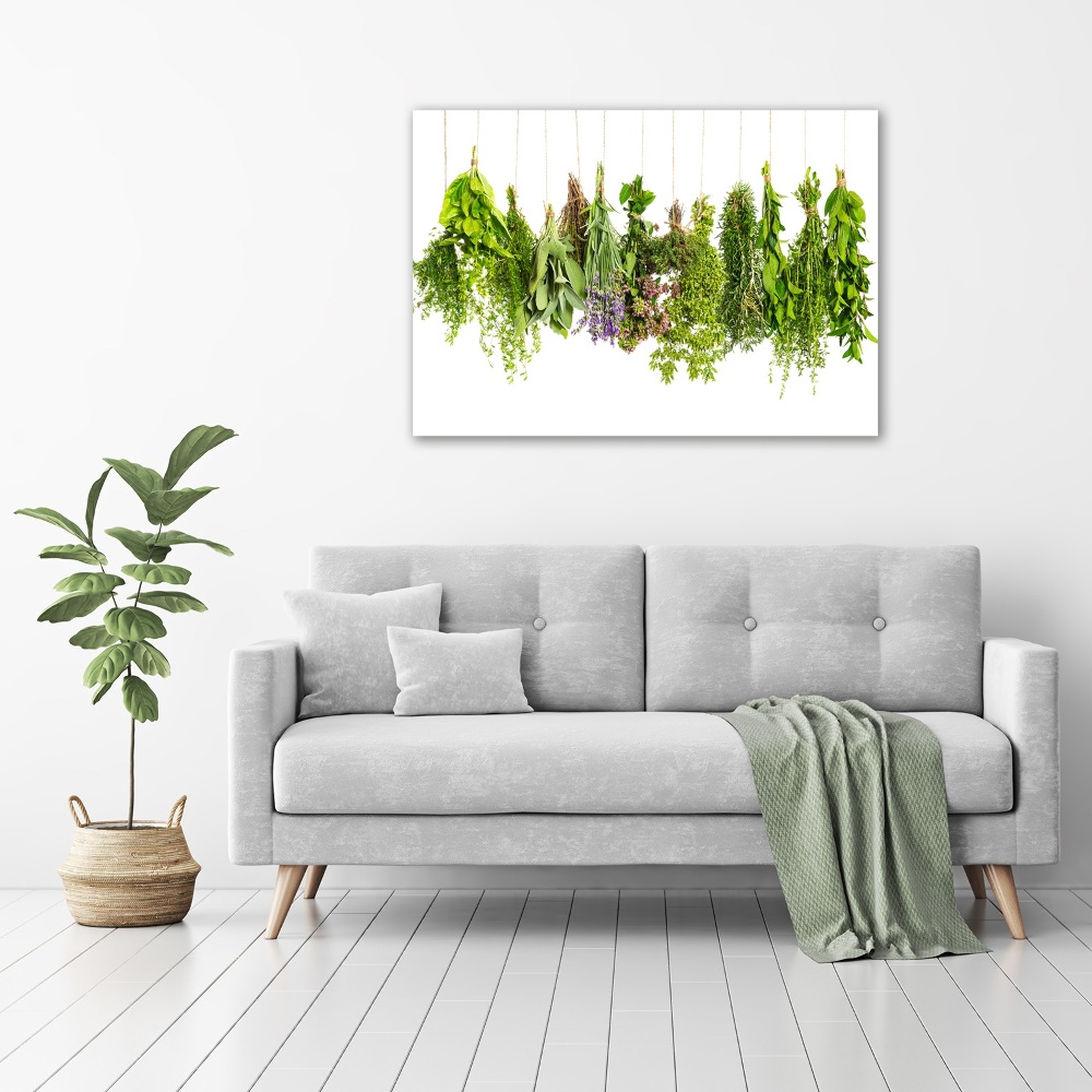 Glass wall art large Herbs on a string