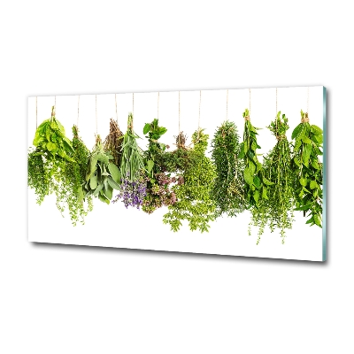 Glass wall art large Herbs on a string