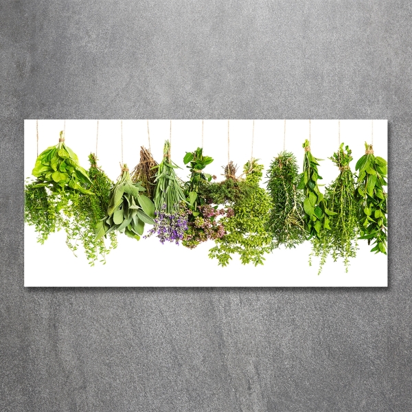 Glass wall art large Herbs on a string