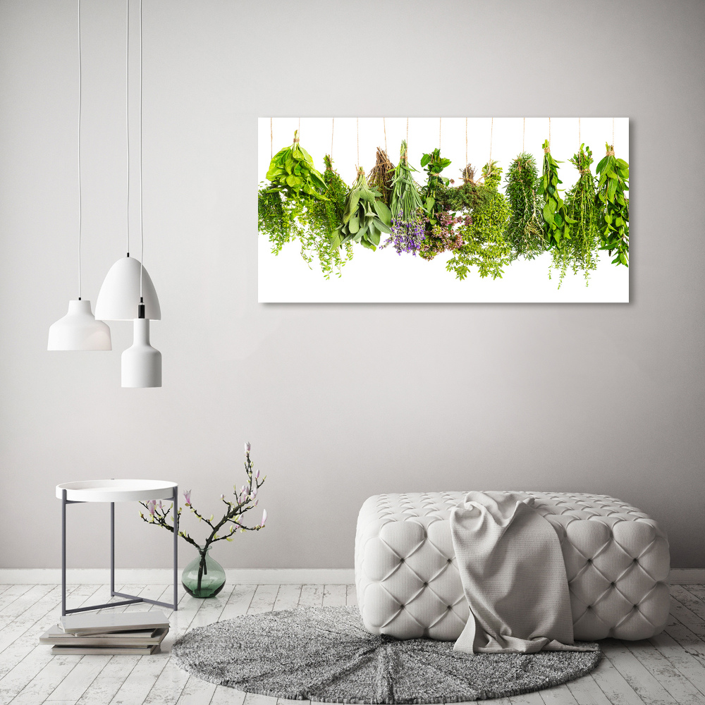 Glass wall art large Herbs on a string