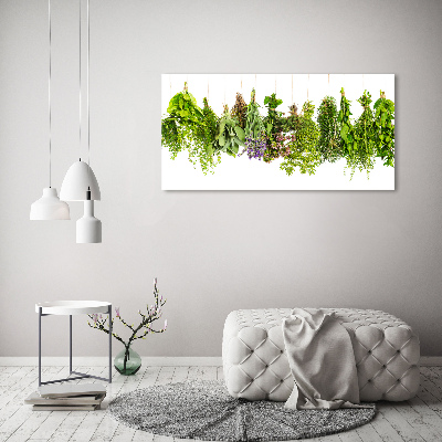 Glass wall art large Herbs on a string