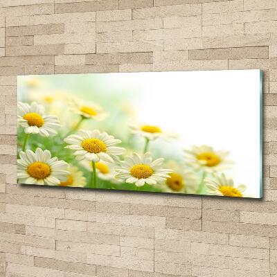 Glass wall art Daisy