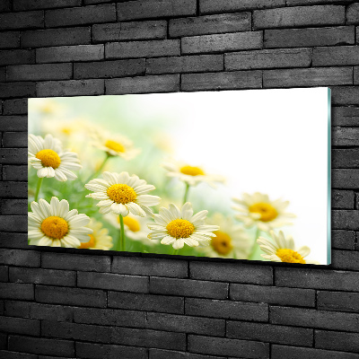 Glass wall art Daisy