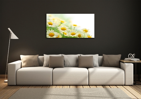 Glass wall art Daisy