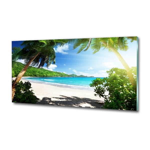 Wall art on glass Seychelles beach