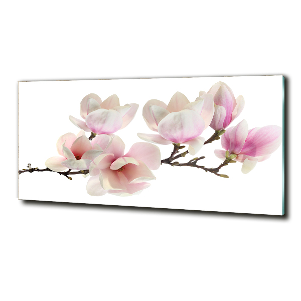 Glass art print Magnolia