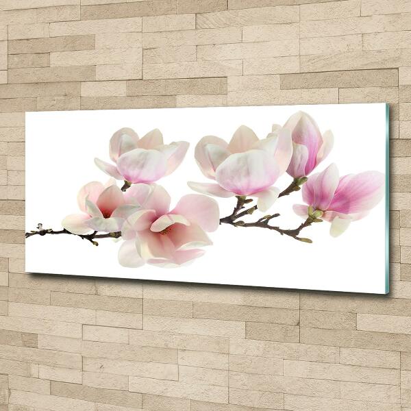 Glass art print Magnolia