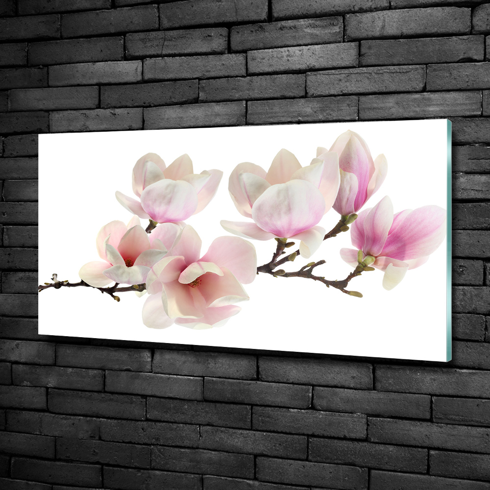 Glass art print Magnolia