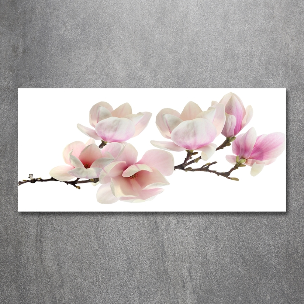 Glass art print Magnolia