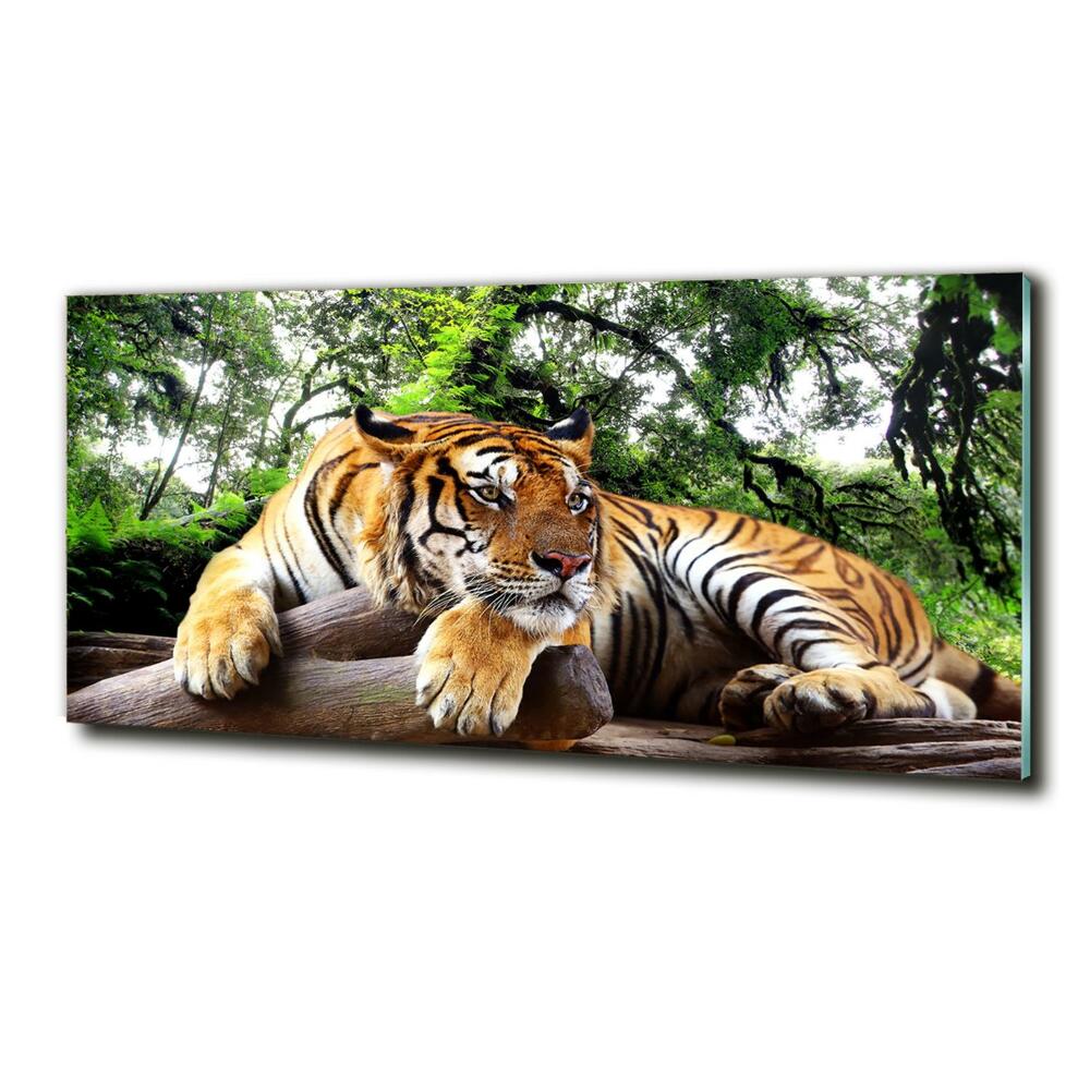 Printed glass wall art Tiger on the rock