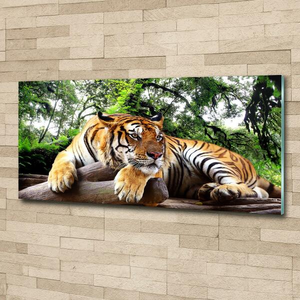 Printed glass wall art Tiger on the rock