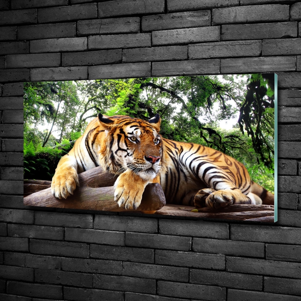 Printed glass wall art Tiger on the rock