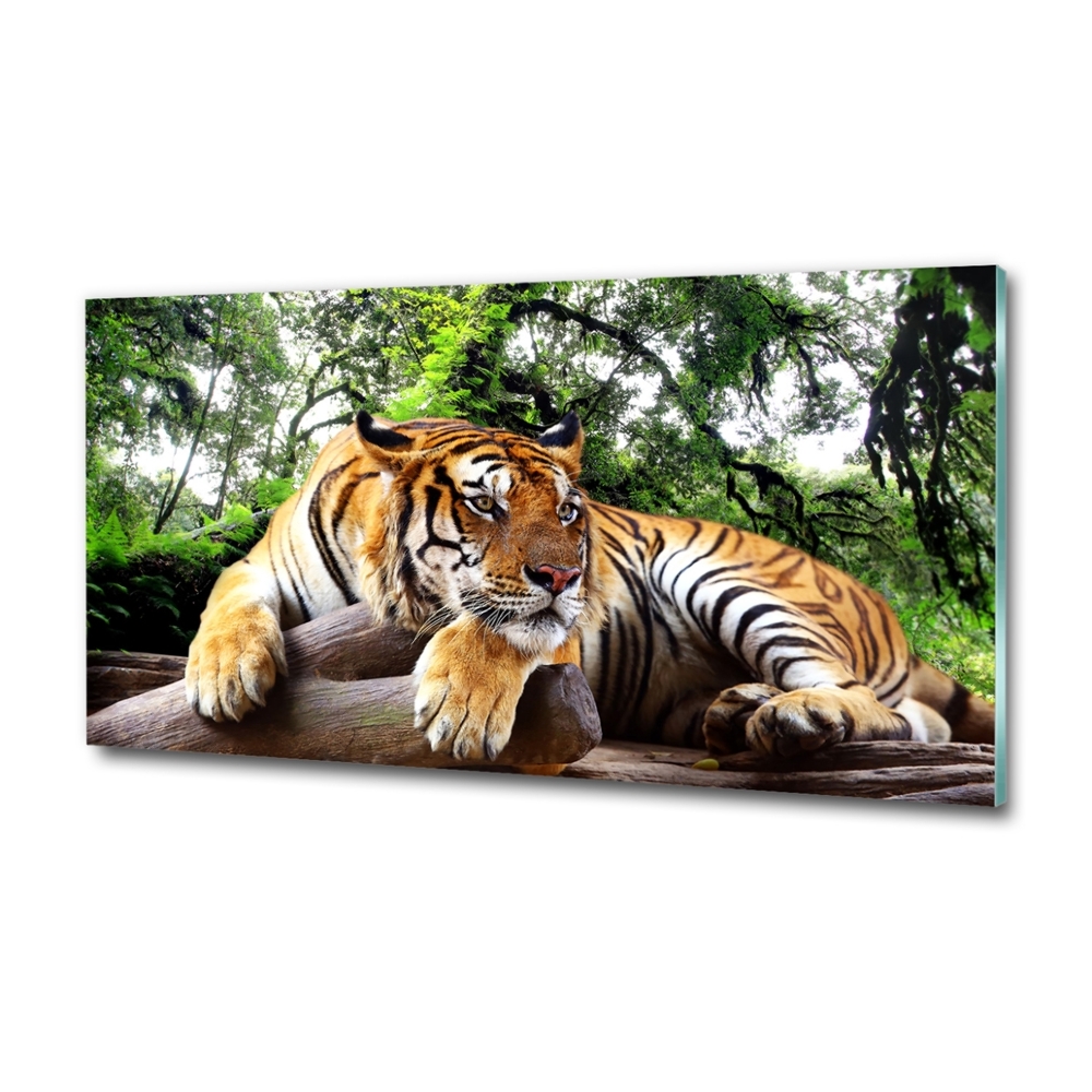 Printed glass wall art Tiger on the rock