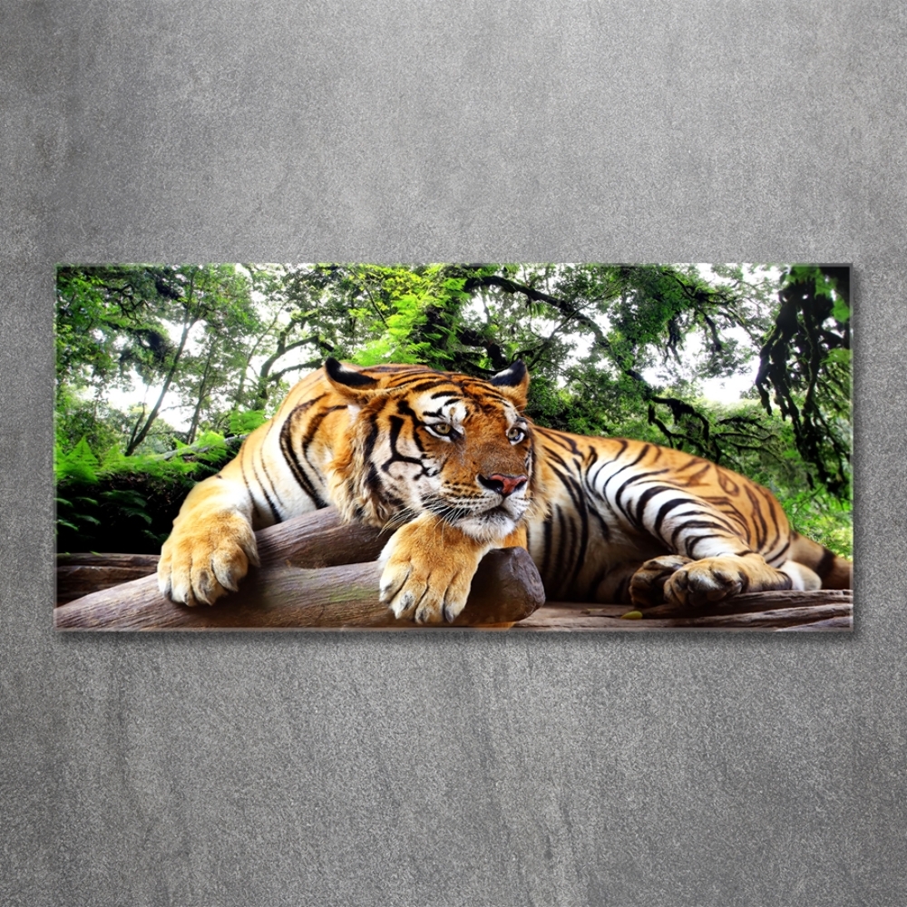 Printed glass wall art Tiger on the rock