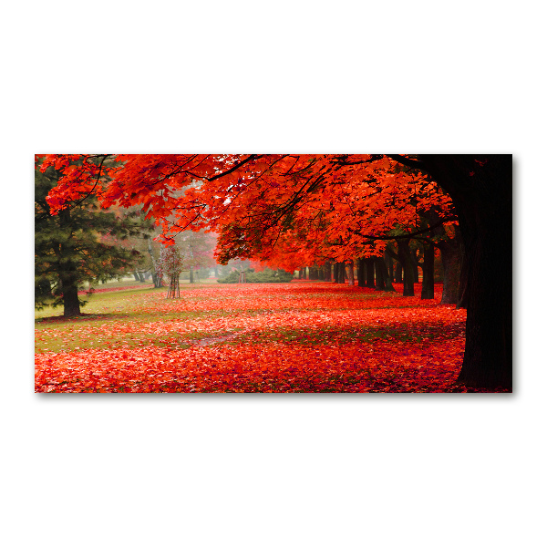 Wall art on glass Trees in autumn