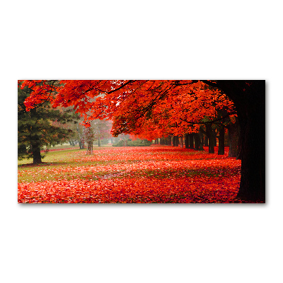 Wall art on glass Trees in autumn